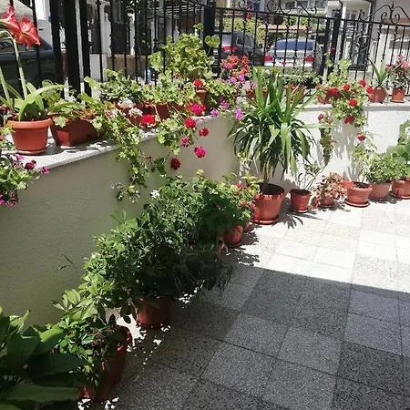 Milchevi Πανσιόν Σωζόπολη