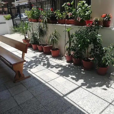 Konukevi Milchevi Süzebolu