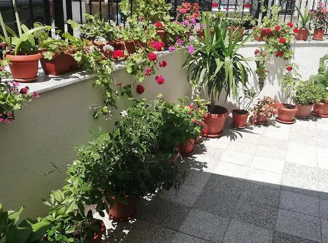 Milchevi Maison d'hôtes Sozopol